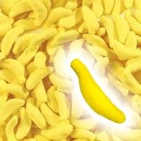 Jake - Bananes Halal 100g